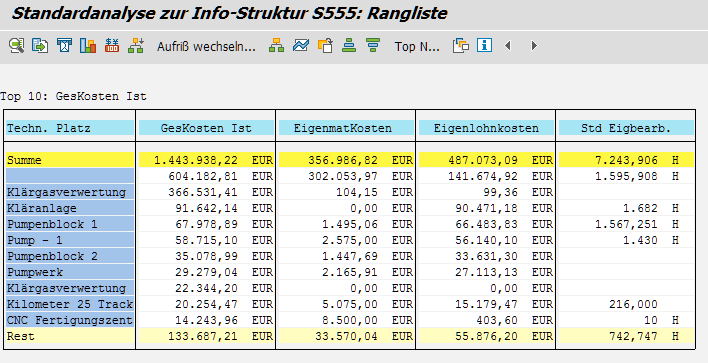 Rangliste Kosten - SAP Instandhaltungscontrolling