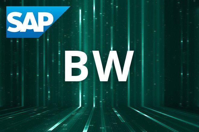 Reporting SAP BW