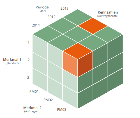 SAP PM-IS