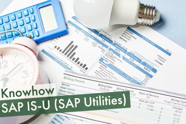 SAP IS-U (SAP Utilities)