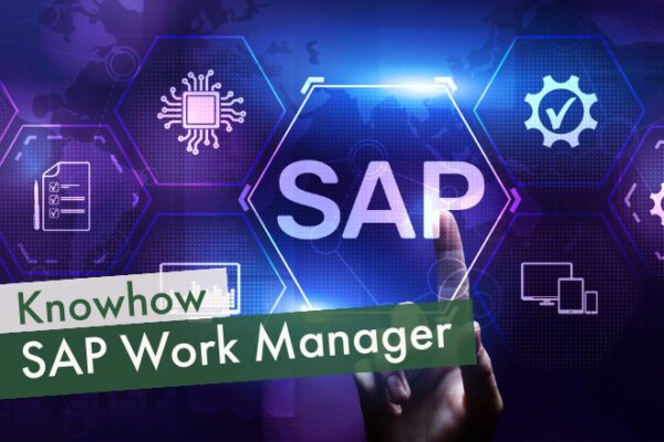 SAP Work Manager