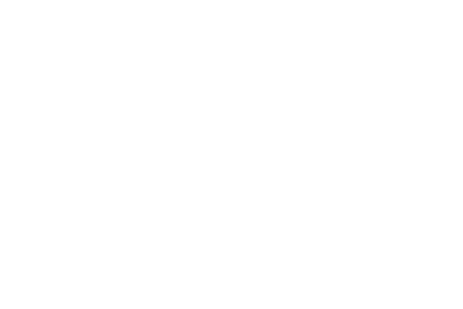 Schülke Logo in weiß