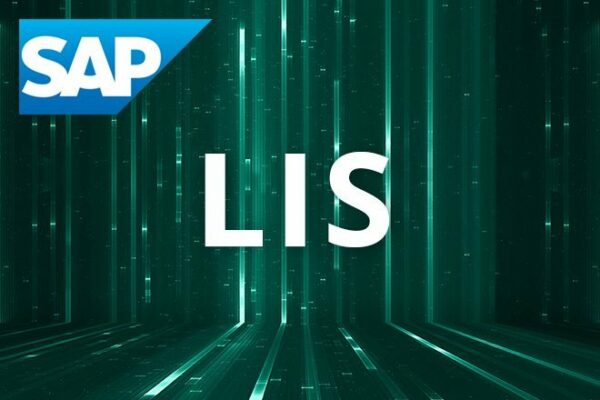 Instandhaltungscontrolling SAP LIS