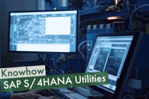 S/4HANA Utilities