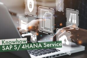 Knowhow S/4HANA Service